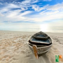 Tranh dán tường 3d kích thước lớn tại hà nội BE - 090